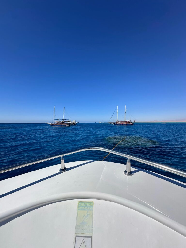 pexels-hayriyenur-351892318-29496495